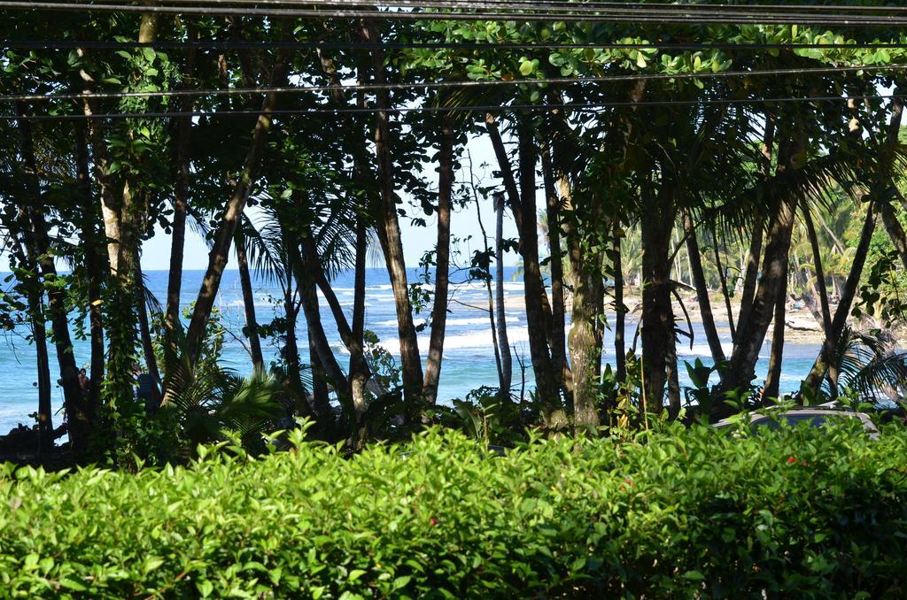 Lanna Ban Hotel Puerto Viejo de Talamanca Eksteriør billede