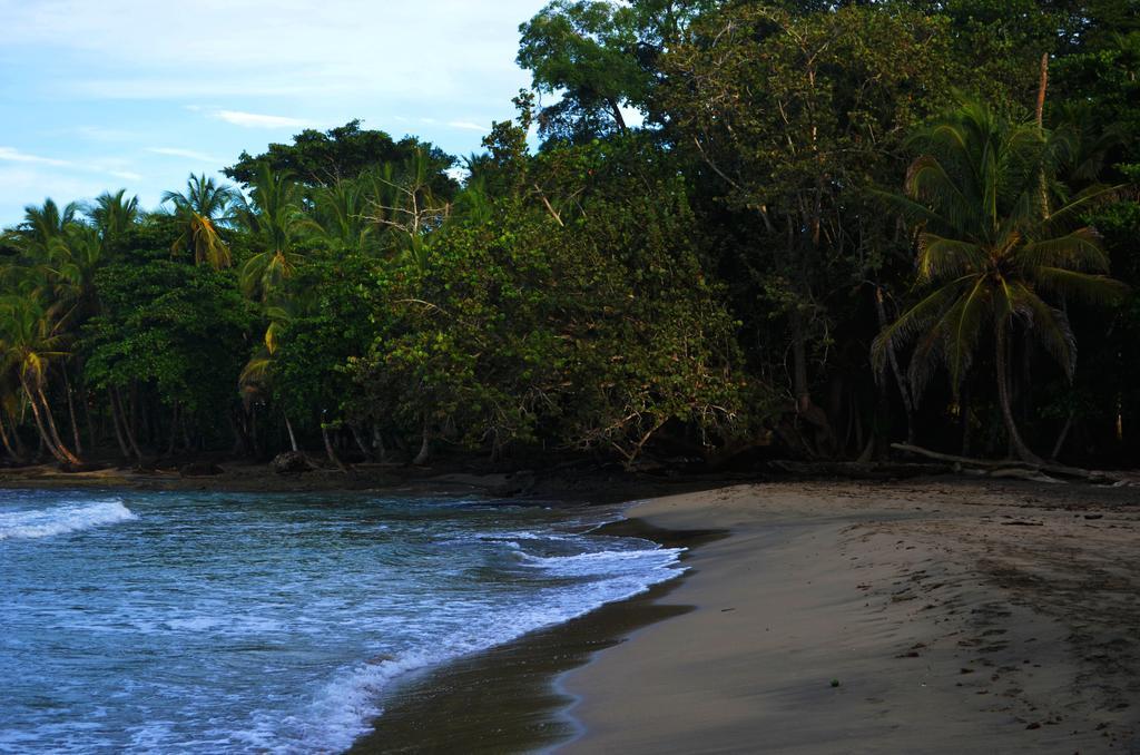 Lanna Ban Hotel Puerto Viejo de Talamanca Eksteriør billede