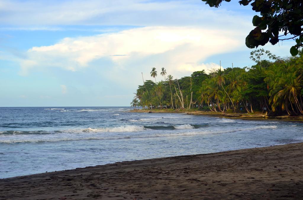 Lanna Ban Hotel Puerto Viejo de Talamanca Eksteriør billede